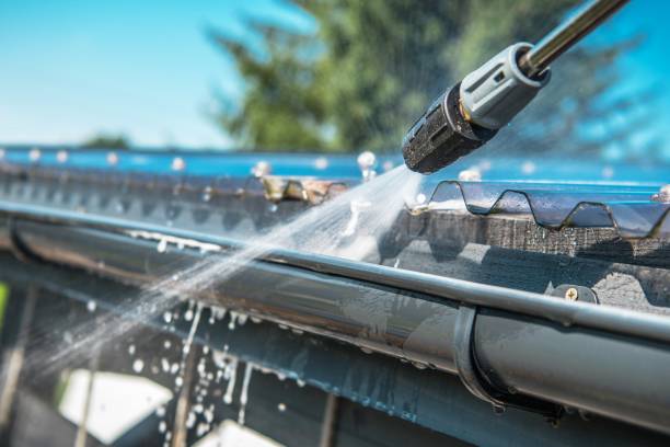Best Exterior Home Cleaning  in Cold Spring, MN