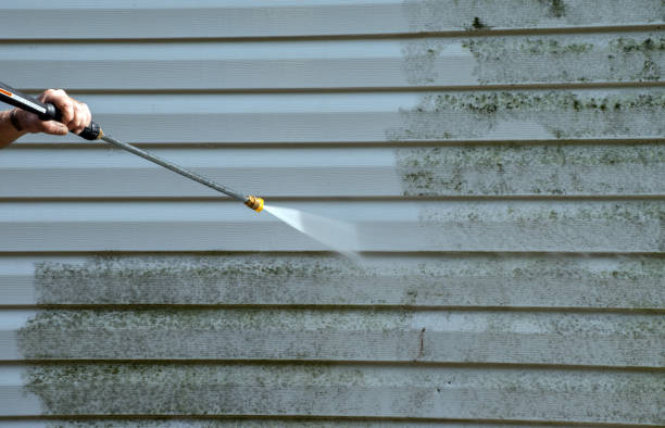 Best Concrete Pressure Washing  in Cold Spring, MN