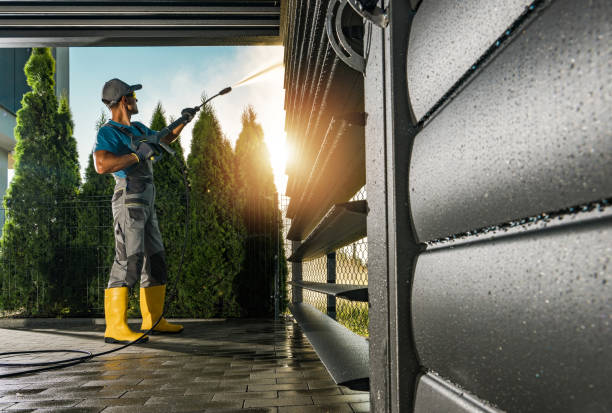 Best Deck Cleaning Services  in Cold Spring, MN