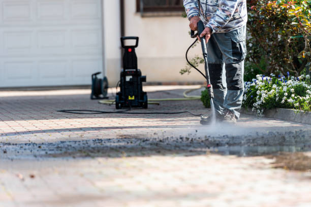 Best Best Pressure Washing Companies  in Cold Spring, MN