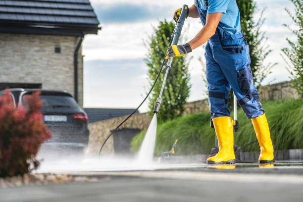 Best Residential Pressure Washing Services  in Cold Spring, MN