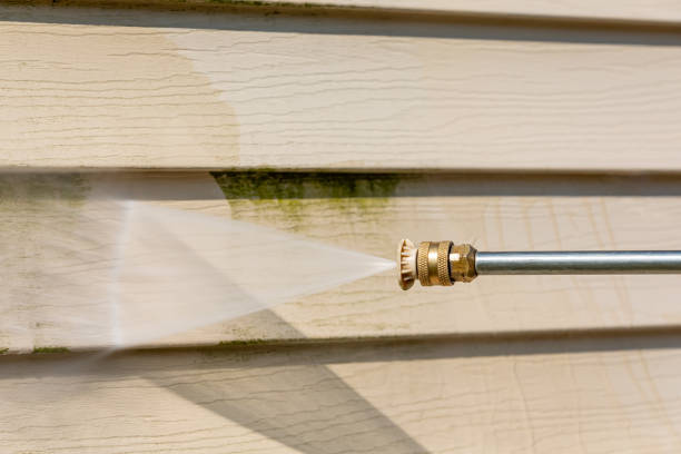 Best Pressure Washing Company Near Me  in Cold Spring, MN