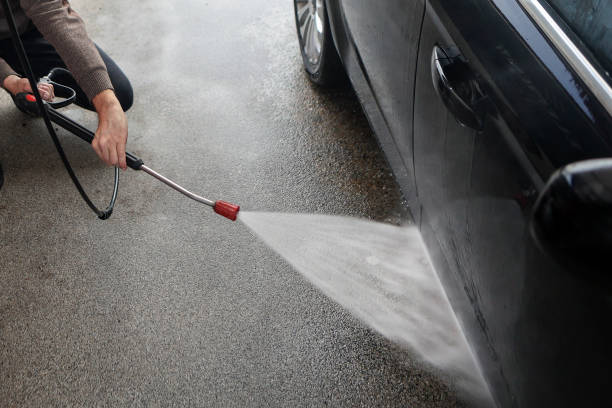 Best Roof Pressure Washing  in Cold Spring, MN