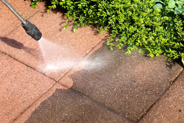 Best Roof Pressure Washing  in Cold Spring, MN
